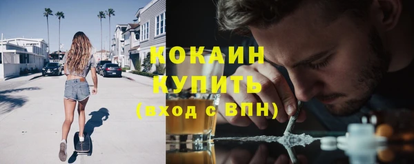 ГАЛЛЮЦИНОГЕННЫЕ ГРИБЫ Волосово